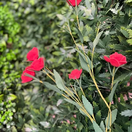 Cozy2br Luxury With Indoor Terrace Διαμέρισμα