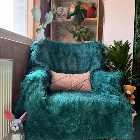 Apartment Cozy2br Luxury With Indoor Terrace Sofia